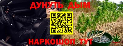наркотики Будённовск