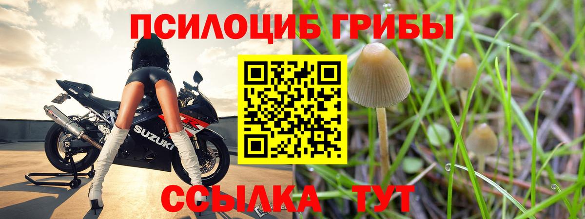 Псилоцибиновые грибы MAGIC MUSHROOMS Мелеуз